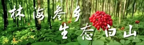 白山市市场监管局参加公平竞争审查视频培训会