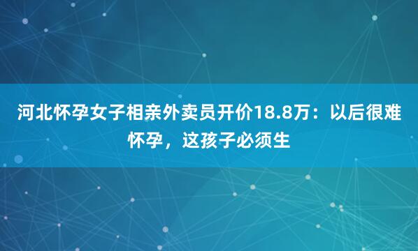 河北怀孕女子相亲外卖员开价18.8万：以后很难怀孕，这孩子必须生