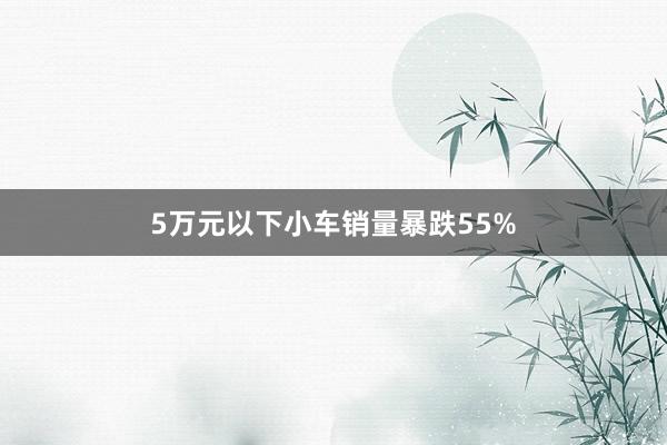 5万元以下小车销量暴跌55%