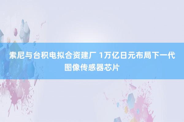 索尼与台积电拟合资建厂 1万亿日元布局下一代图像传感器芯片