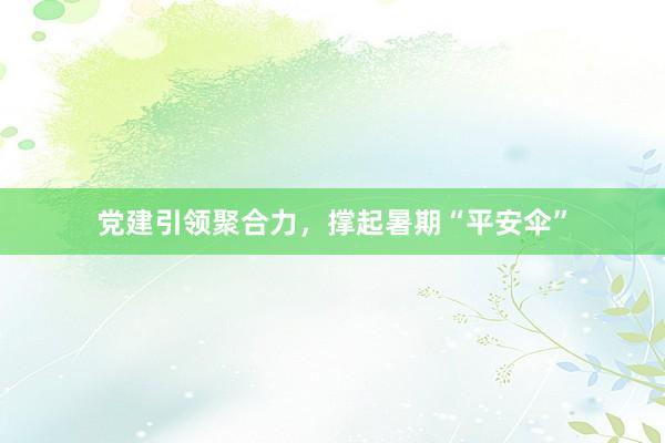 党建引领聚合力，撑起暑期“平安伞”