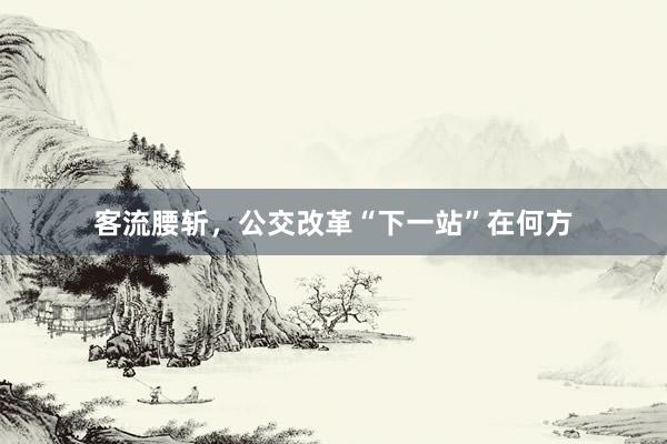 客流腰斩，公交改革“下一站”在何方