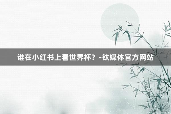 谁在小红书上看世界杯？-钛媒体官方网站