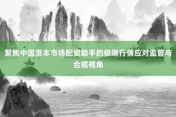 聚焦中国资本市场配资助手的极端行情应对监管与合规视角