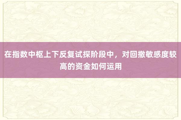 在指数中枢上下反复试探阶段中，对回撤敏感度较高的资金如何运用