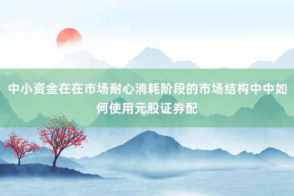 中小资金在在市场耐心消耗阶段的市场结构中中如何使用元股证券配