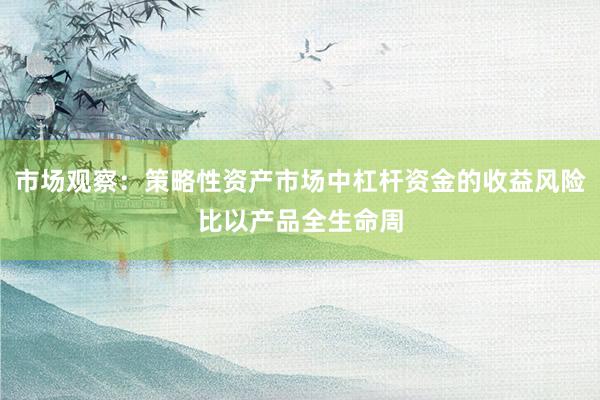 市场观察：策略性资产市场中杠杆资金的收益风险比以产品全生命周