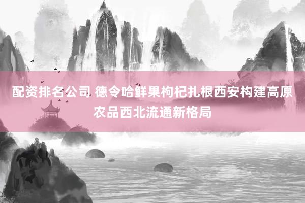 配资排名公司 德令哈鲜果枸杞扎根西安构建高原农品西北流通新格局