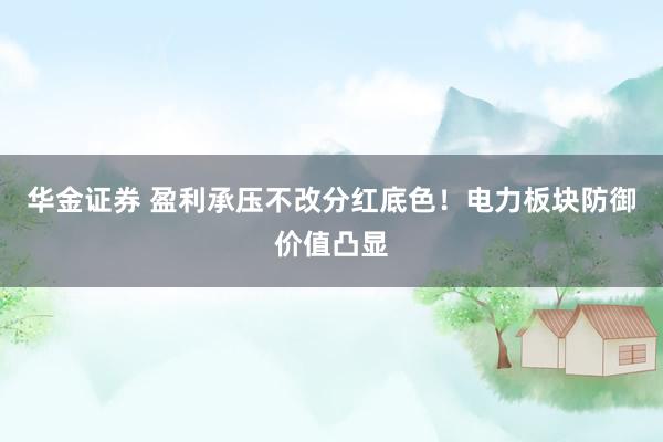 华金证券 盈利承压不改分红底色！电力板块防御价值凸显
