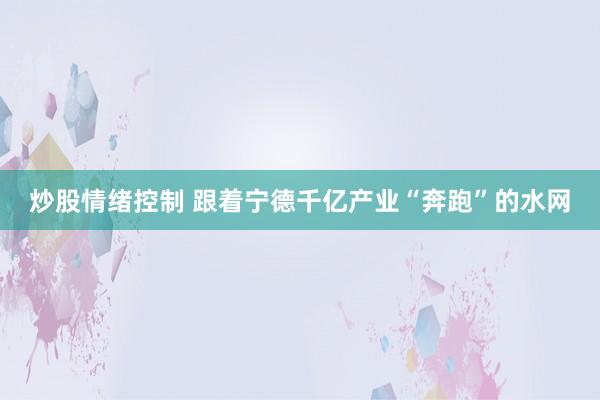 炒股情绪控制 跟着宁德千亿产业“奔跑”的水网