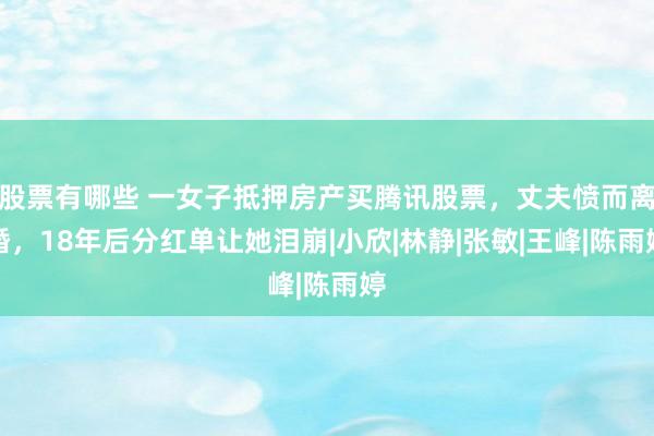 股票有哪些 一女子抵押房产买腾讯股票，丈夫愤而离婚，18年后分红单让她泪崩|小欣|林静|张敏|王峰|陈雨婷