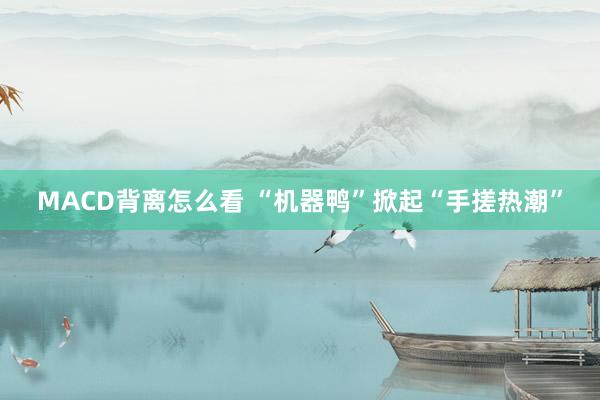 MACD背离怎么看 “机器鸭”掀起“手搓热潮”