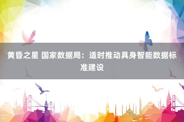 黄昏之星 国家数据局：适时推动具身智能数据标准建设