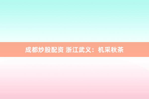 成都炒股配资 浙江武义：机采秋茶