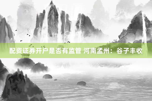 配资证券开户是否有监管 河南孟州：谷子丰收