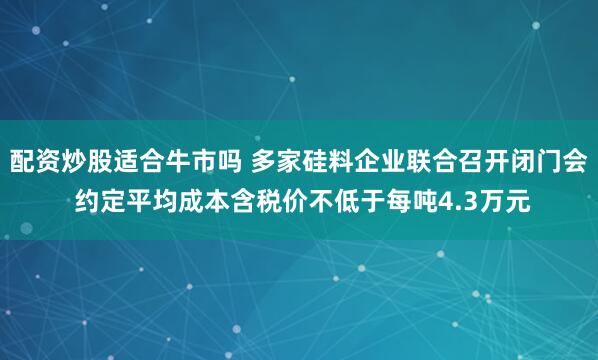 配资炒股适合牛市吗 多家硅料企业联合召开闭门会 约定平均成本含税价不低于每吨4.3万元