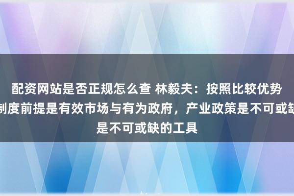 配资网站是否正规怎么查 林毅夫：按照比较优势发展的制度前提是有效市场与有为政府，产业政策是不可或缺的工具
